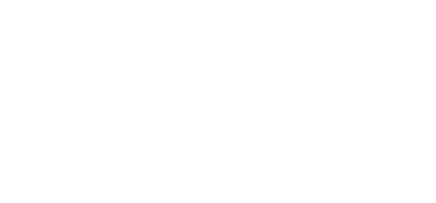 Virtual Regatta